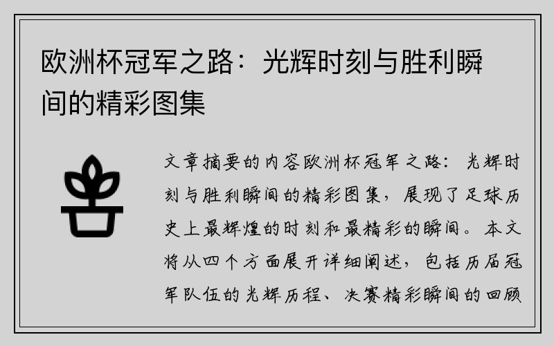 欧洲杯冠军之路：光辉时刻与胜利瞬间的精彩图集