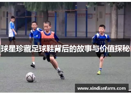 球星珍藏足球鞋背后的故事与价值探秘