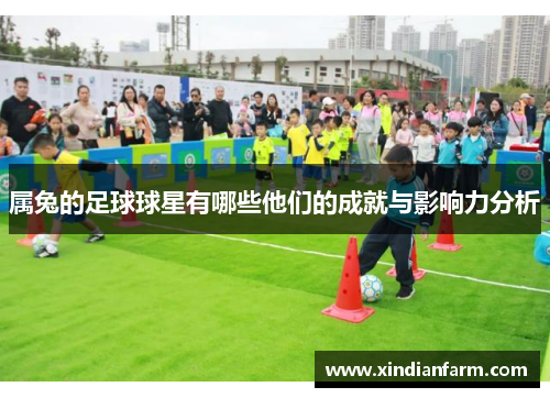 属兔的足球球星有哪些他们的成就与影响力分析