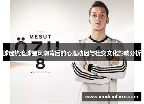 球迷热追球星风潮背后的心理动因与社交文化影响分析