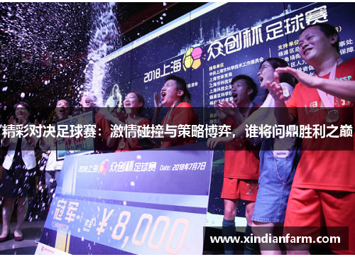 精彩对决足球赛：激情碰撞与策略博弈，谁将问鼎胜利之巅