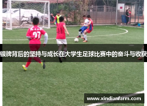 银牌背后的坚持与成长在大学生足球比赛中的奋斗与收获