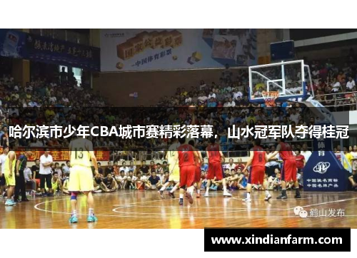 哈尔滨市少年CBA城市赛精彩落幕，山水冠军队夺得桂冠