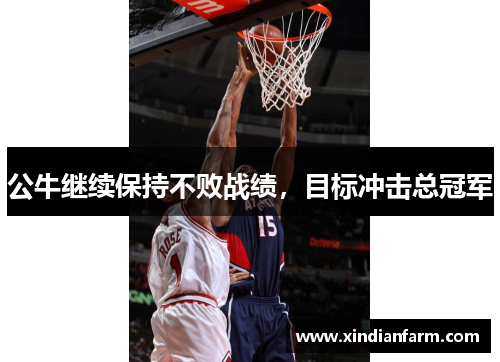公牛继续保持不败战绩，目标冲击总冠军